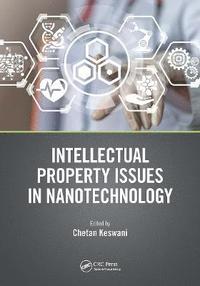 bokomslag Intellectual Property Issues in Nanotechnology