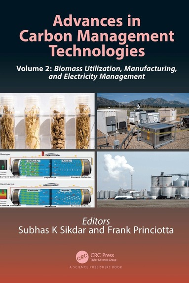Subhas K. Sikdar, Frank Princiotta - Advances in Carbon Management Technologies, Inbunden