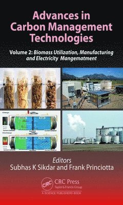 bokomslag Advances in Carbon Management Technologies