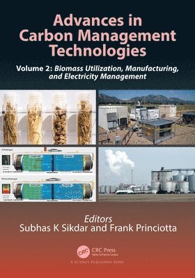 Subhas K. Sikdar, Frank Princiotta - Advances in Carbon Management Technologies, Häftad