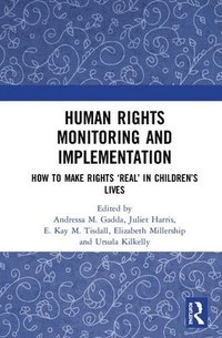 bokomslag Human Rights Monitoring and Implementation
