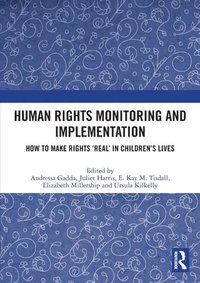 bokomslag Human Rights Monitoring and Implementation