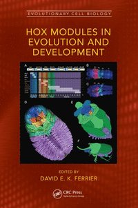 bokomslag Hox Modules in Evolution and Development