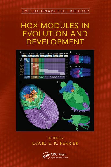 David E. K. Ferrier - Hox Modules in Evolution and Development, Inbunden