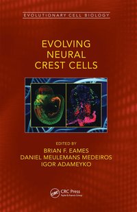 bokomslag Evolving Neural Crest Cells