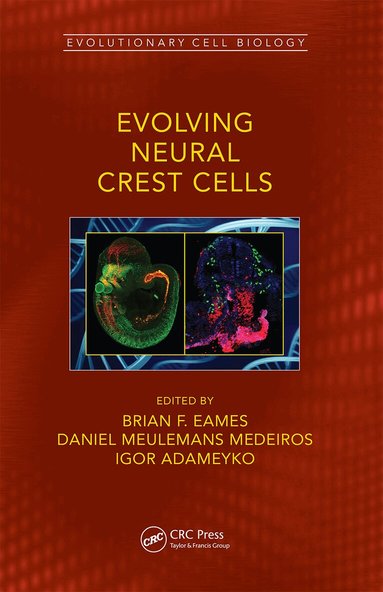 Brian Frank Eames, Daniel Meulemans Medeiros, Igor Adameyko - Evolving Neural Crest Cells, Häftad