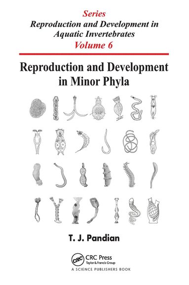 bokomslag Reproduction and Development in Minor Phyla
