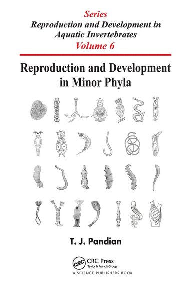 bokomslag Reproduction and Development in Minor Phyla