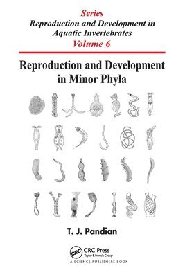 Reproduction and Development in Minor Phyla