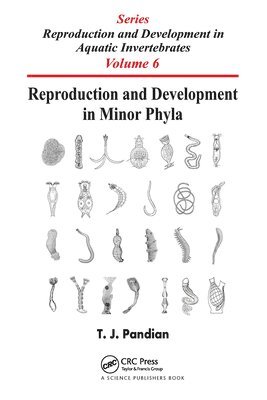 Reproduction and Development in Minor Phyla 1