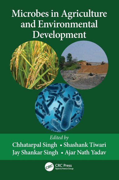 Chhatarpal Singh, Shashank Tiwari, Jay Shankar Singh, Ajar Nath Yadav - Microbes in Agriculture and Environmental Development, Häftad