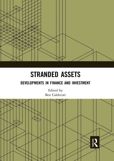 Ben Caldecott - Stranded Assets, Häftad
