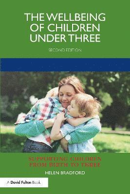 The Wellbeing of Children under Three 1