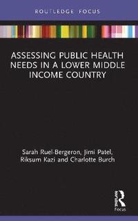 bokomslag Assessing Public Health Needs in a Lower Middle Income Country