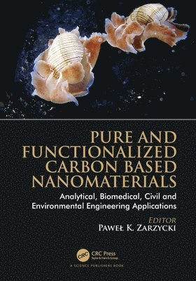 Pure and Functionalized Carbon Based Nanomaterials 1