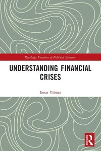bokomslag Understanding Financial Crises