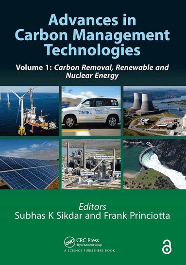 Subhas Sikdar, Frank Princiotta - Advances in Carbon Management Technologies, Häftad