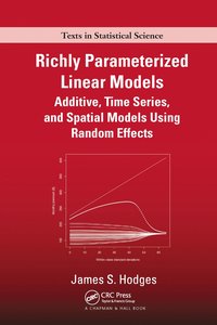 bokomslag Richly Parameterized Linear Models