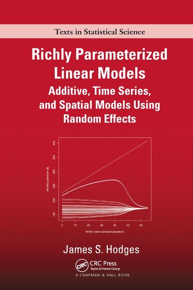 bokomslag Richly Parameterized Linear Models