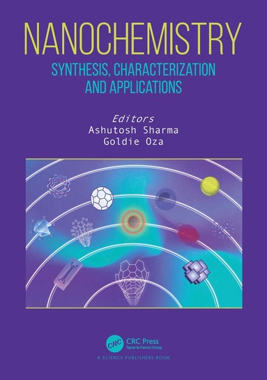 bokomslag Nanochemistry