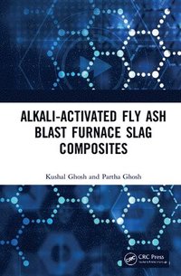 bokomslag Alkali Activated Fly Ash