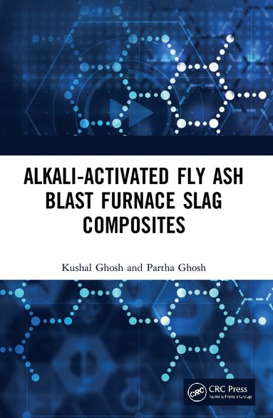 bokomslag Alkali Activated Fly Ash