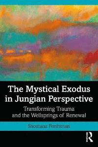 bokomslag The Mystical Exodus in Jungian Perspective