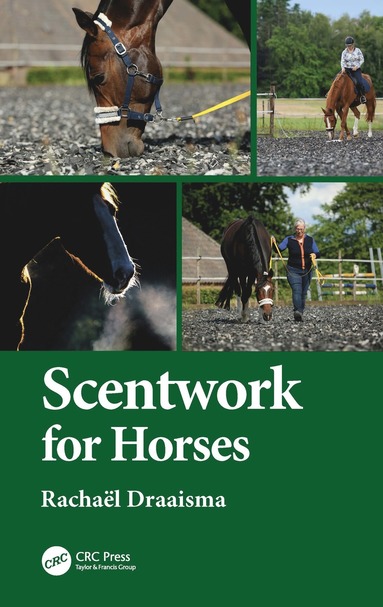 bokomslag Scentwork for Horses