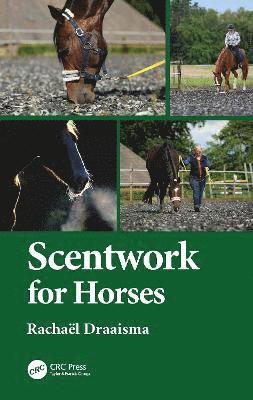 Scentwork for Horses 1