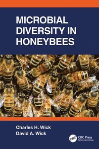 bokomslag Microbial Diversity in Honeybees