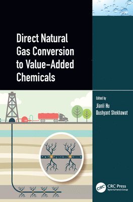 Jianli Hu, Dushyant Shekhawat, Dushyant (U.S. Department of Energy) Shekhawat - Direct Natural Gas Conversion to Value-Added Chemicals, Häftad