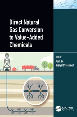 Direct Natural Gas Conversion to Value-Added Chemicals 1