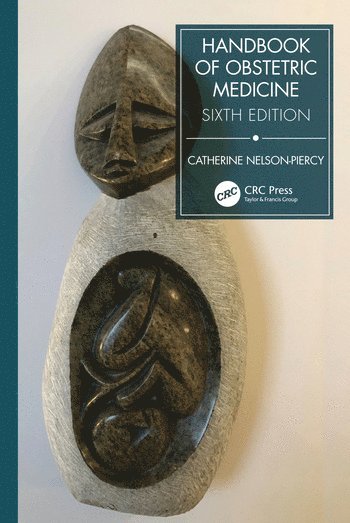 bokomslag Handbook of Obstetric Medicine