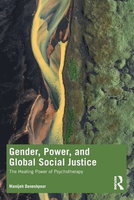 Gender, Power, and Global Social Justice 1