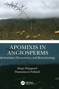 bokomslag Apomixis in Angiosperms