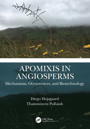 bokomslag Apomixis in Angiosperms