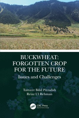 bokomslag Buckwheat: Forgotten Crop for the Future