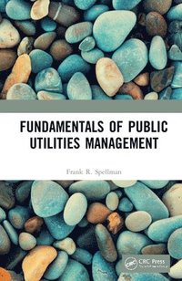 bokomslag Fundamentals of Public Utilities Management