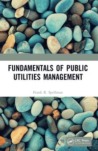 bokomslag Fundamentals of Public Utilities Management