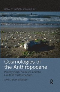 bokomslag Cosmologies of the Anthropocene
