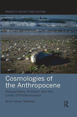 Cosmologies of the Anthropocene 1