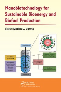 bokomslag Nanobiotechnology for Sustainable Bioenergy and Biofuel Production