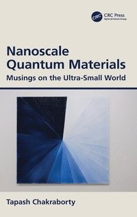 bokomslag Nanoscale Quantum Materials