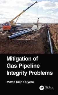 bokomslag Mitigation of Gas Pipeline Integrity Problems