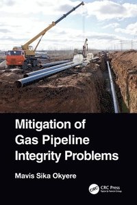 bokomslag Mitigation of Gas Pipeline Integrity Problems