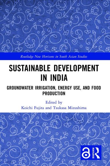 Koichi Fujita, Tsukasa Mizushima - Sustainable Development in India, Häftad