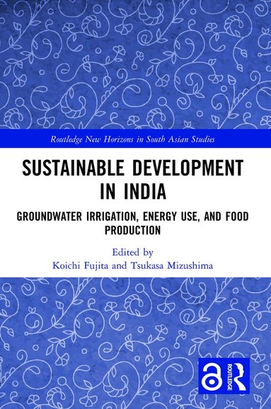bokomslag Sustainable Development in India