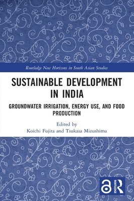 Koichi Fujita, Tsukasa Mizushima - Sustainable Development in India, Häftad