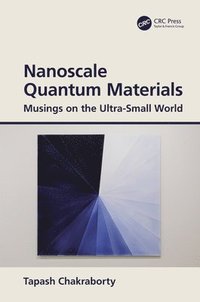 bokomslag Nanoscale Quantum Materials