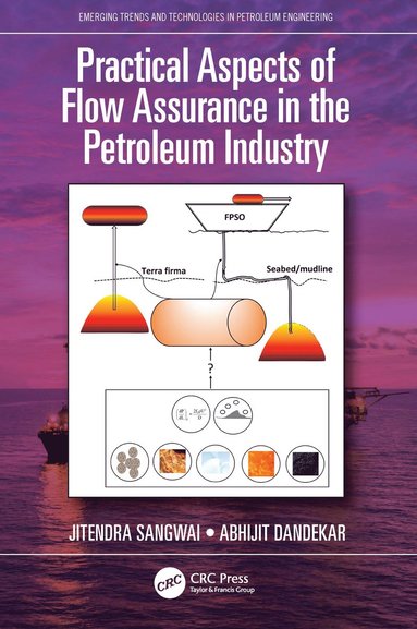 bokomslag Practical Aspects of Flow Assurance in the Petroleum Industry